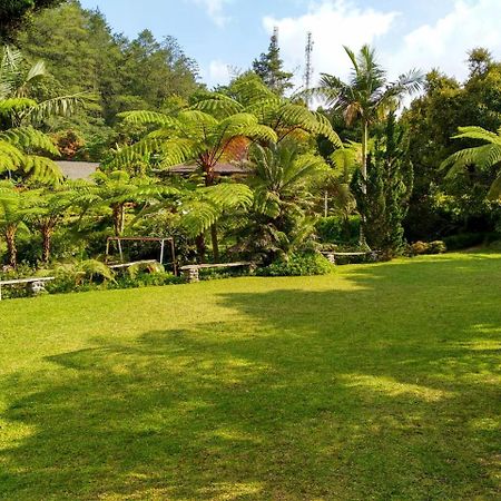 Warung Rekreasi Bedugul Hotel Ngoại thất bức ảnh