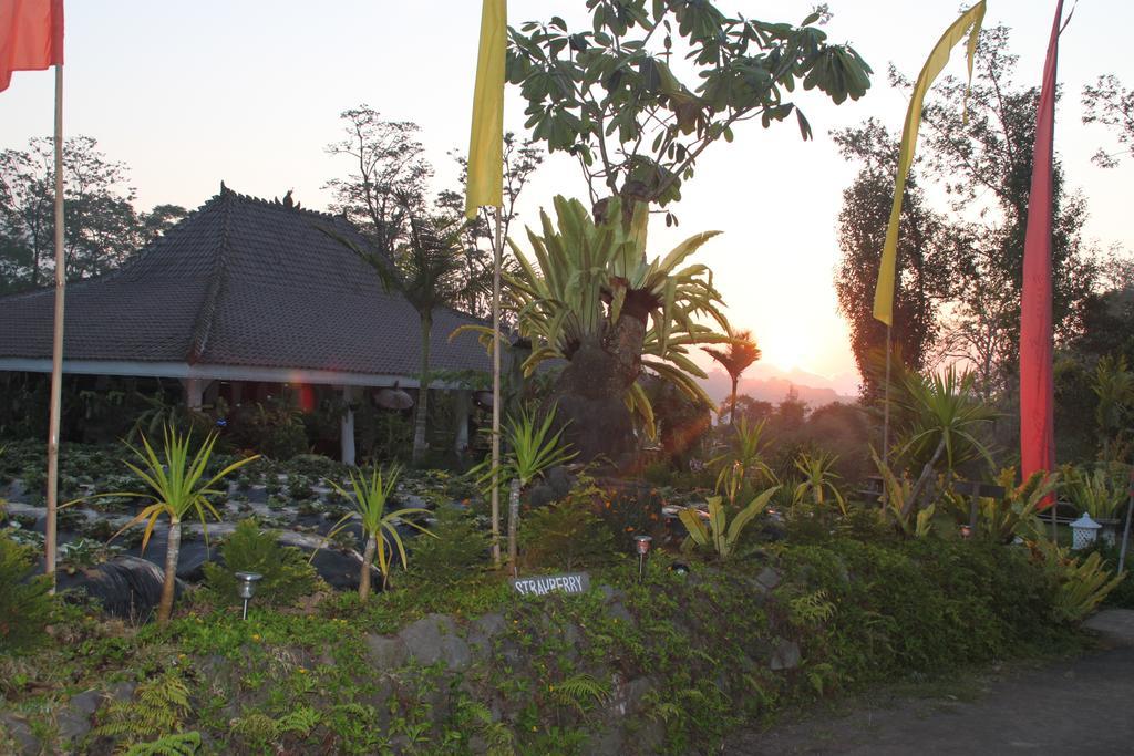 Warung Rekreasi Bedugul Hotel Ngoại thất bức ảnh