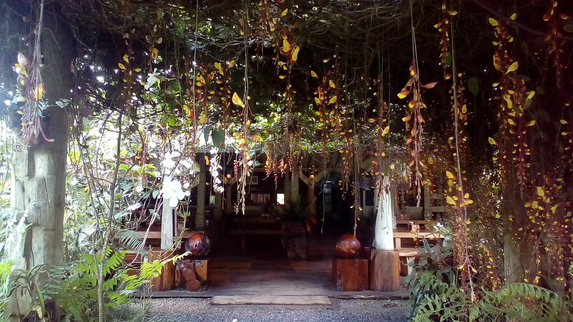 Warung Rekreasi Bedugul Hotel Ngoại thất bức ảnh